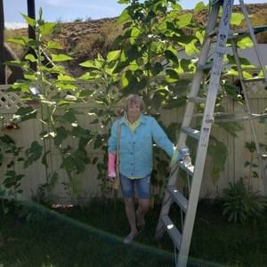 Meet your Posher, Jacqueline